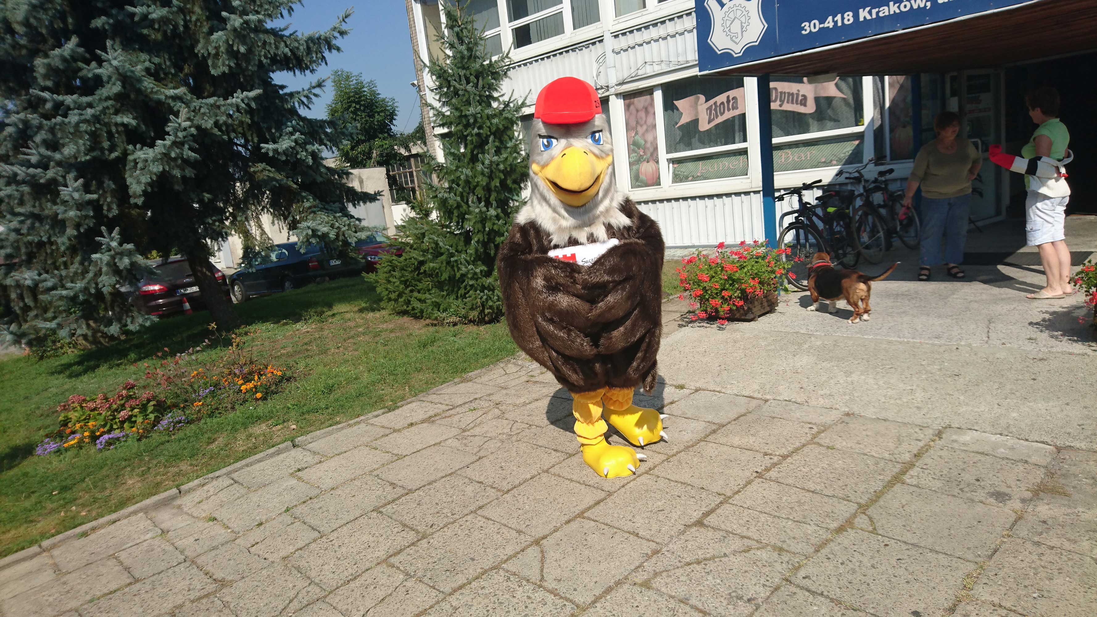 Komu stroje reklamowe w czasach pandemii, komu? Orzeł